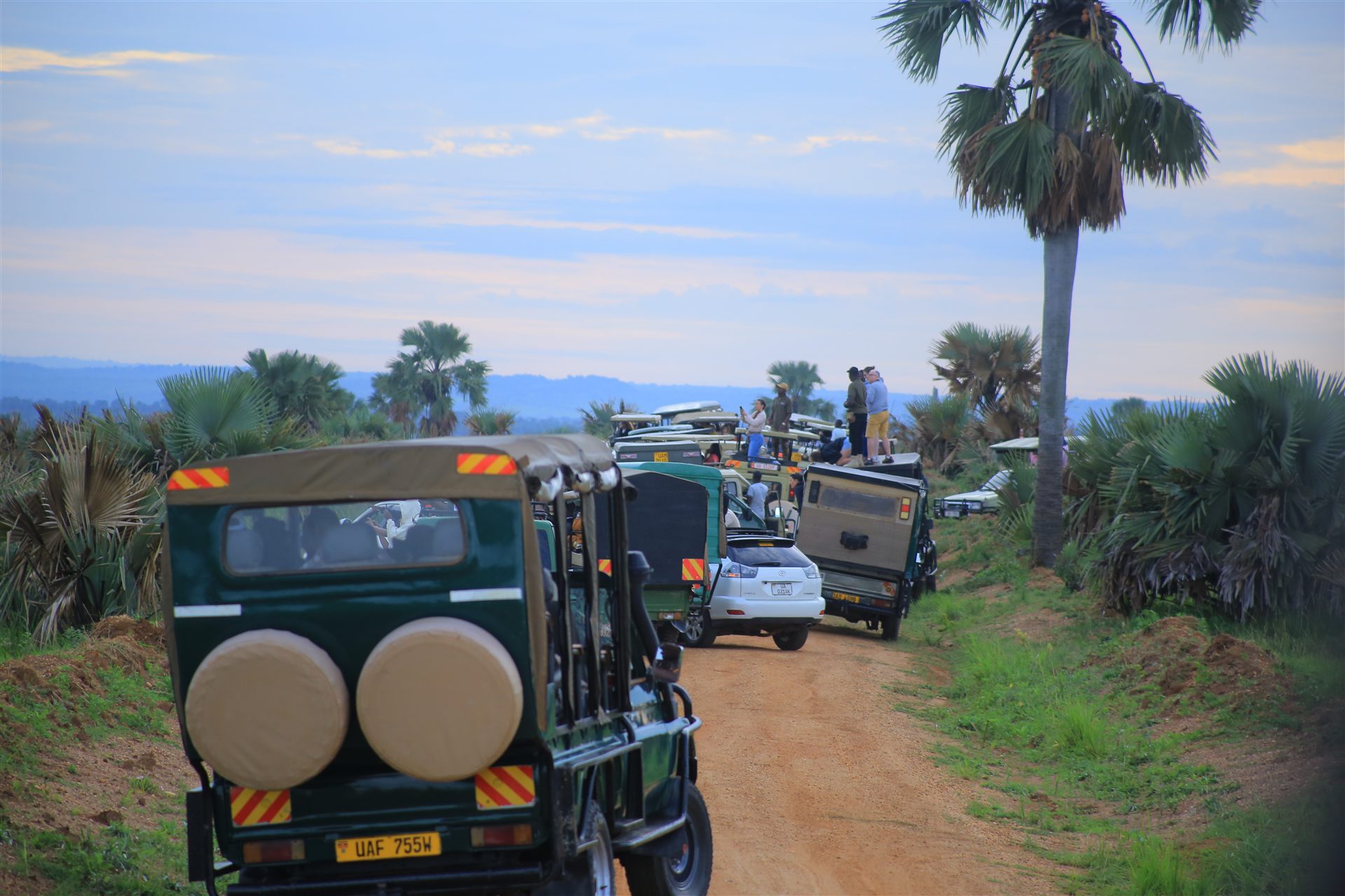 Uganda travel landscape
