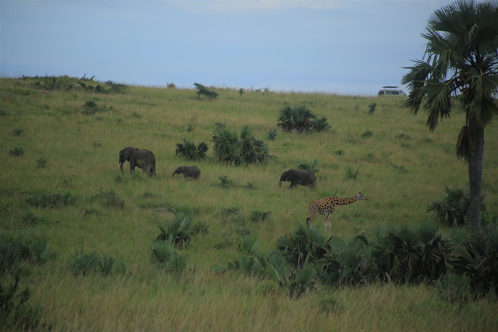 Uganda travel landscape