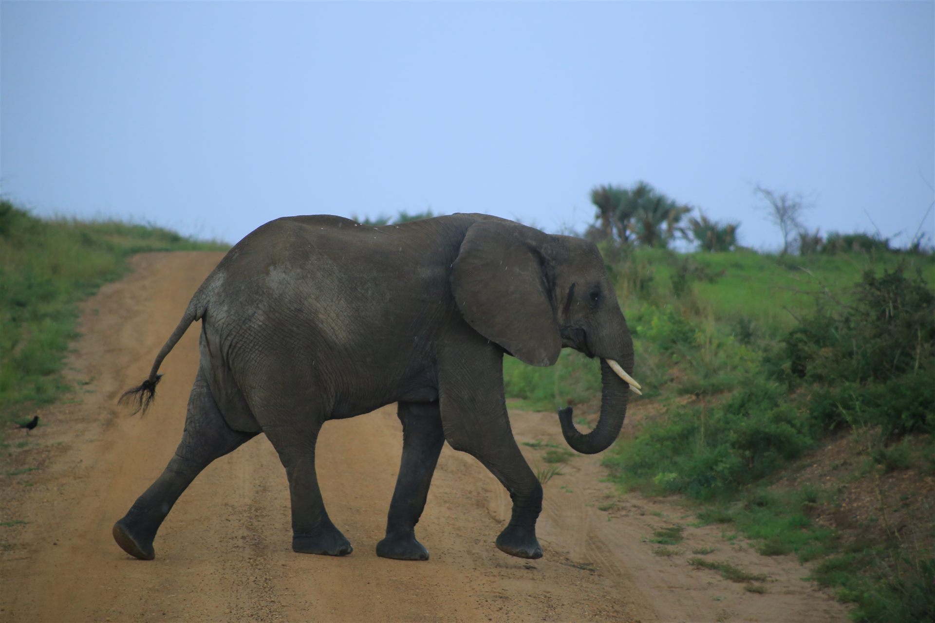 Uganda travel landscape