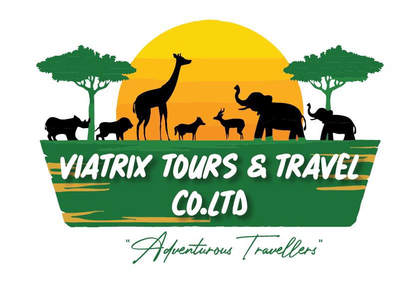 Viatrix Tours & Travel